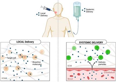 Prospective and challenges of locally applied repurposed pharmaceuticals for periodontal tissue regeneration